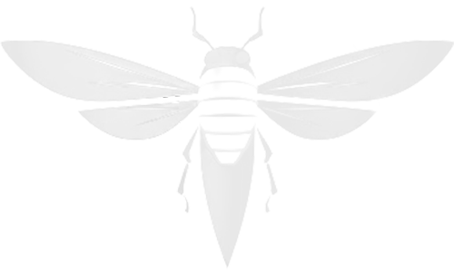 Cicada Logo White