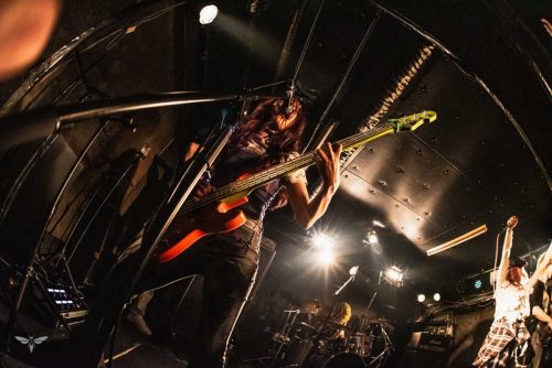 DIMRAYS BLACKLIGHT PROPHET PT I NAGOYA 251003