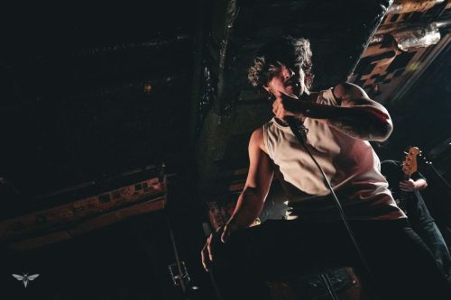 251207-WALL-HOUND-web-10