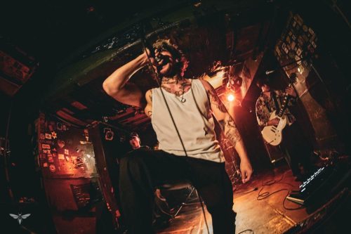 251207-WALL-HOUND-web-14