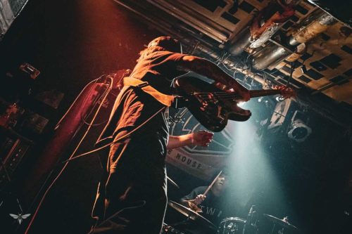 251207-WALL-HOUND-web-2