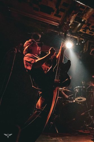 251207-WALL-HOUND-web-23