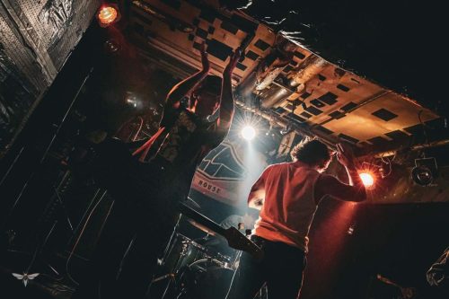 251207-WALL-HOUND-web-24