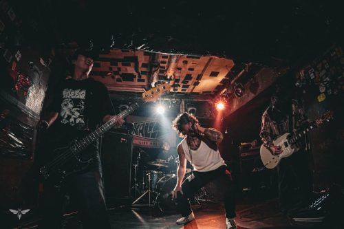 251207-WALL-HOUND-web-25