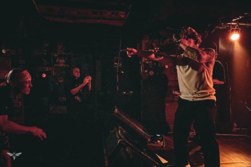 251207-WALL-HOUND-web-27