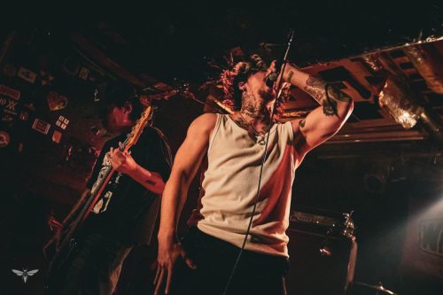 251207-WALL-HOUND-web-3