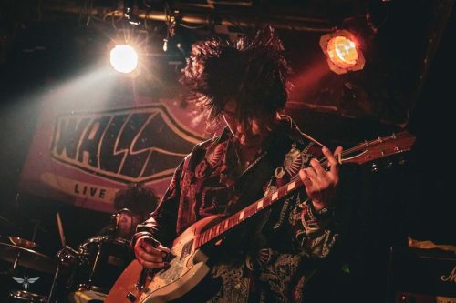 251207-WALL-HOUND-web-35