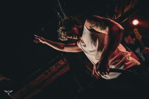 251207-WALL-HOUND-web-40