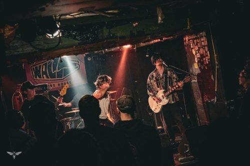 251207-WALL-HOUND-web-41