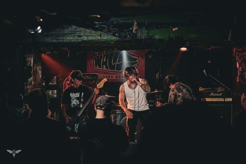 251207-WALL-HOUND-web-43