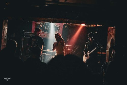 251207-WALL-HOUND-web-44