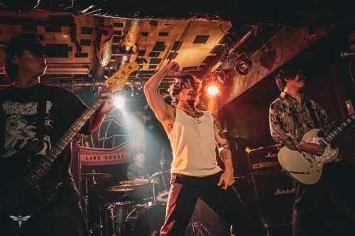 251207-WALL-HOUND-web-49