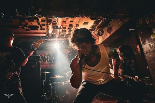 251207-WALL-HOUND-web-5