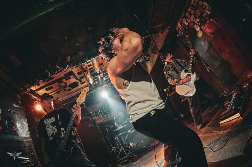 251207-WALL-HOUND-web-53