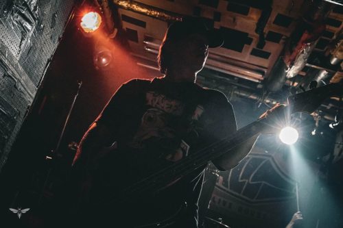 251207-WALL-HOUND-web-55