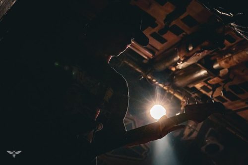 251207-WALL-HOUND-web-56