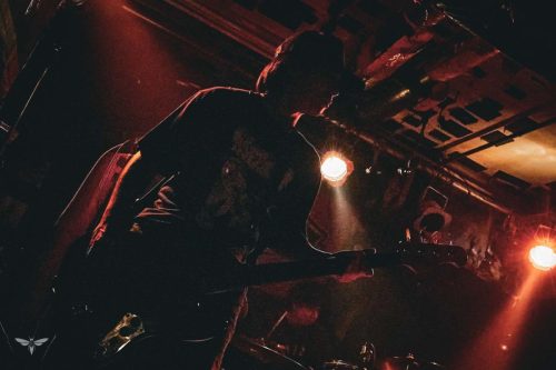 251207-WALL-HOUND-web-57