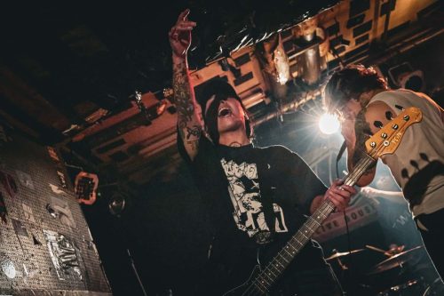 251207-WALL-HOUND-web-59