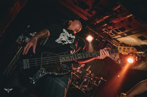 251207-WALL-HOUND-web-7